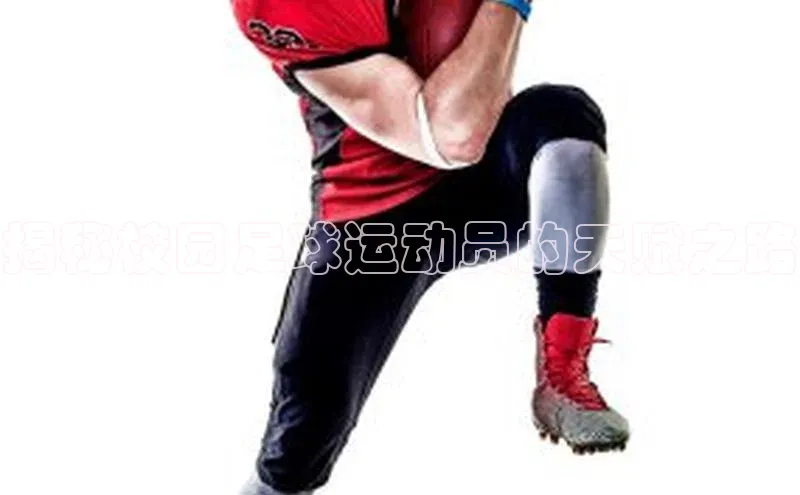 熊猫体育58同城