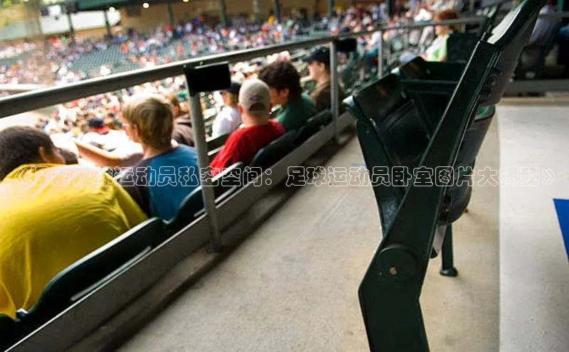 熊猫体育app下载安装百度识图