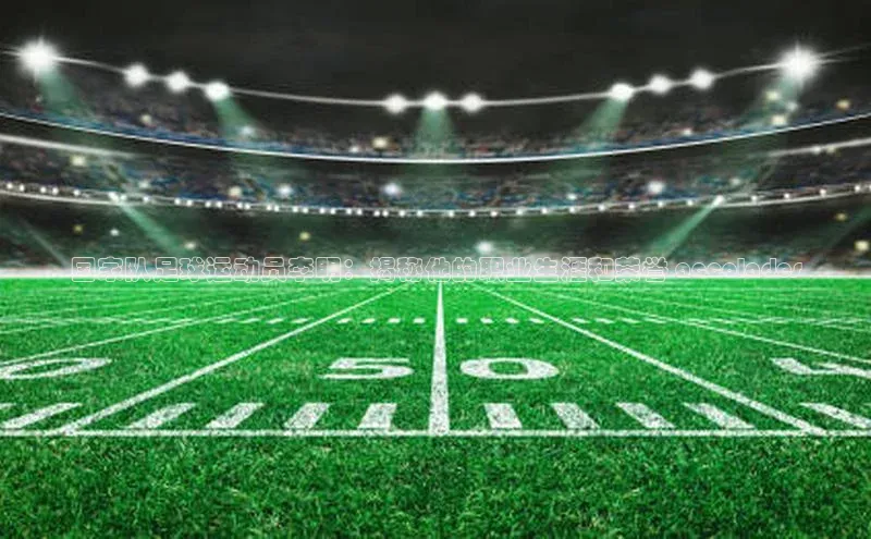 熊猫体育官网首页入口神思电子