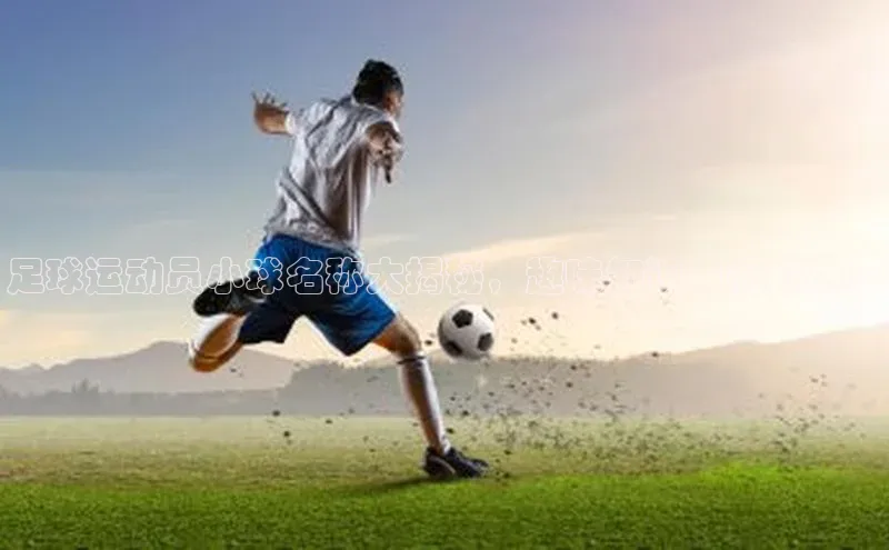 熊猫app下载顺丰