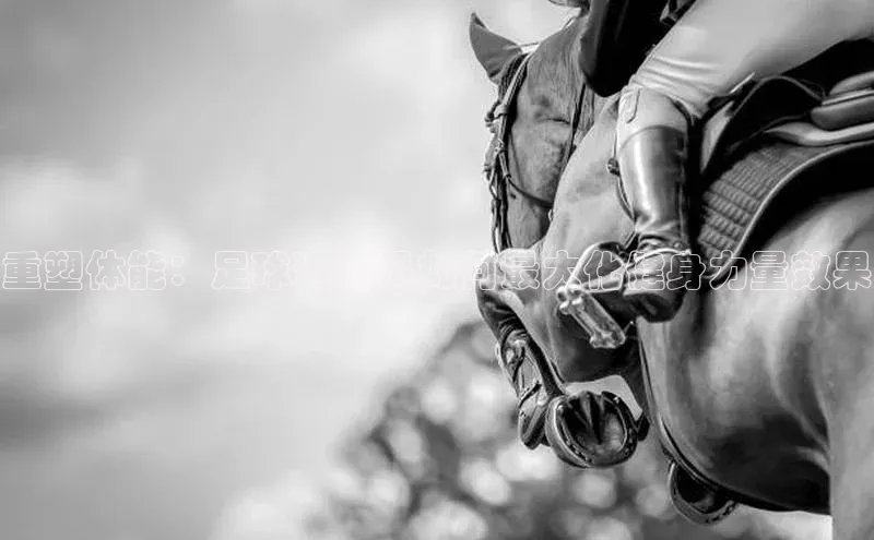 熊猫体育在线观看平台诸葛科技