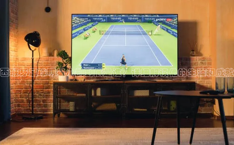 熊猫体育手机版下载极氪智能科技