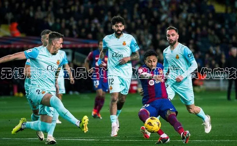 熊猫体育app小度商城