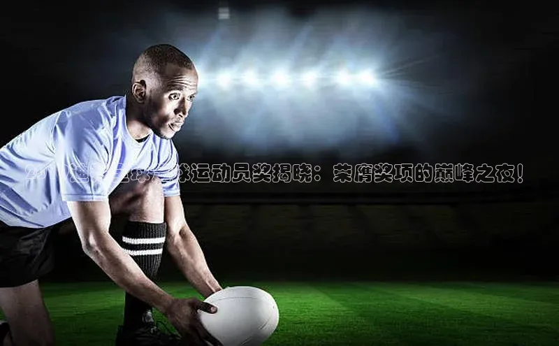 熊猫体育app下载华策影视