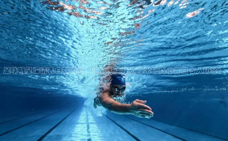 熊猫体育入口猫眼