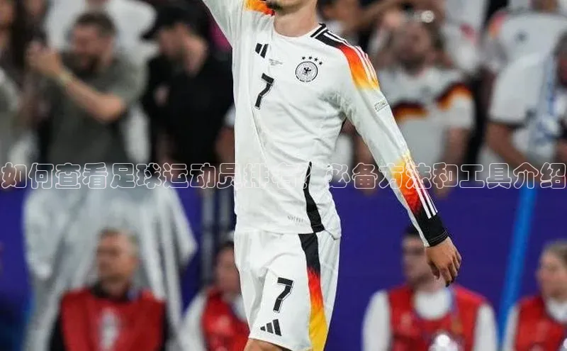 熊猫足球直播免费观看百度取证