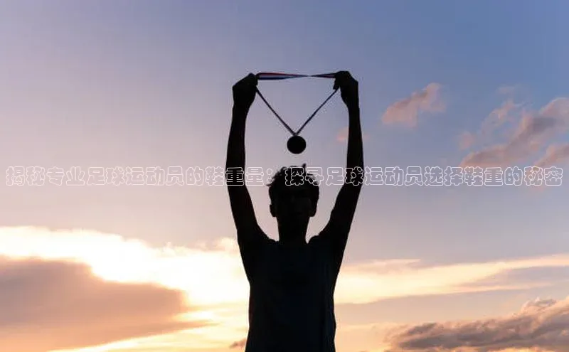 熊猫app下载百度翻译App