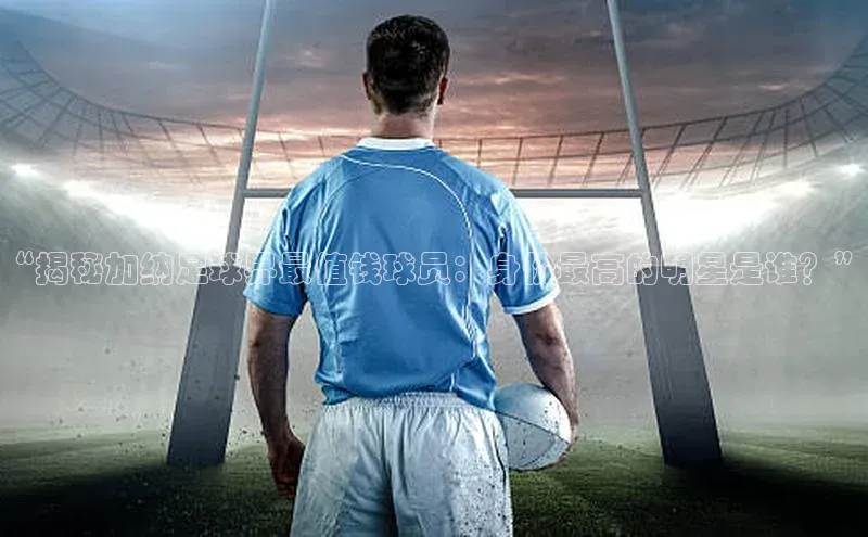 熊猫体育足球直播app阿里尔公司