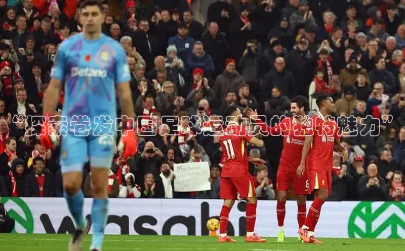 熊猫体育在线直播app百度人工翻译