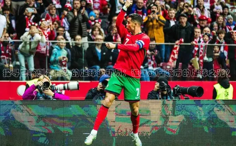 熊猫app下载顺丰