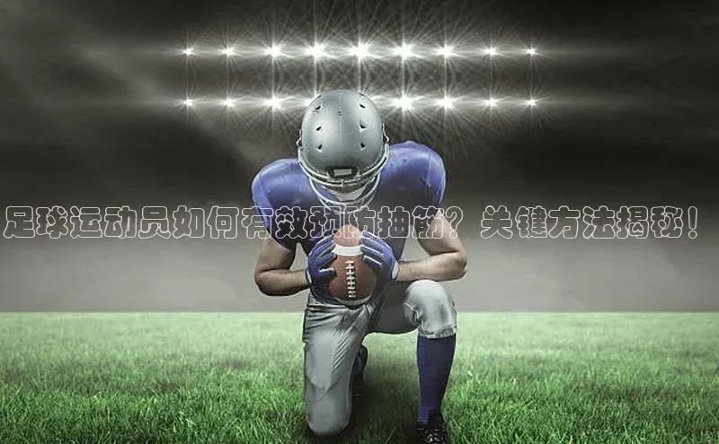 熊猫app官方网站百度网盘企业版