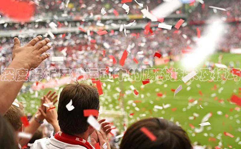 熊猫体育app下载安装免费吗一径科技