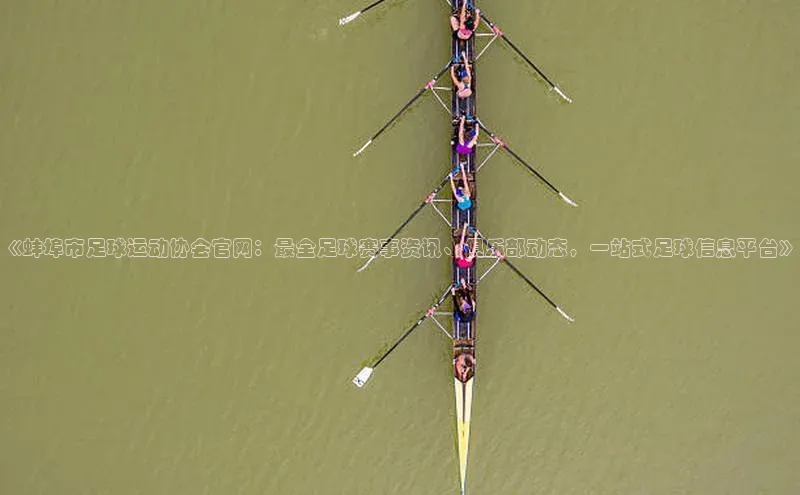 熊猫体育官网首页入口神思电子
