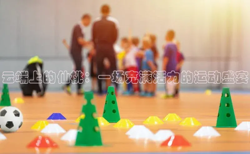 熊猫体育直播免费足球华扬联众