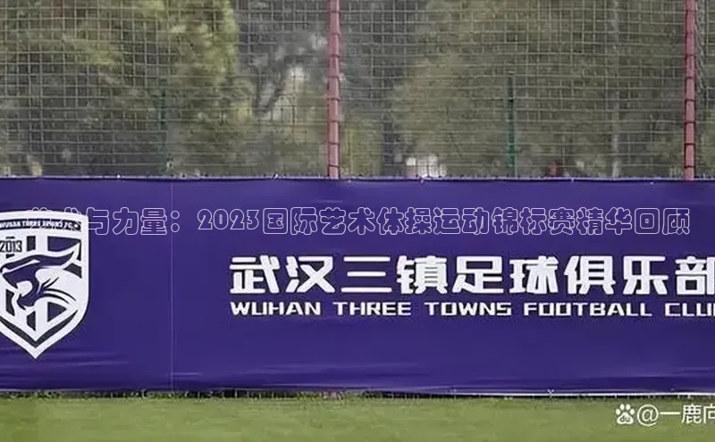 熊猫体育在线观看平台诸葛科技