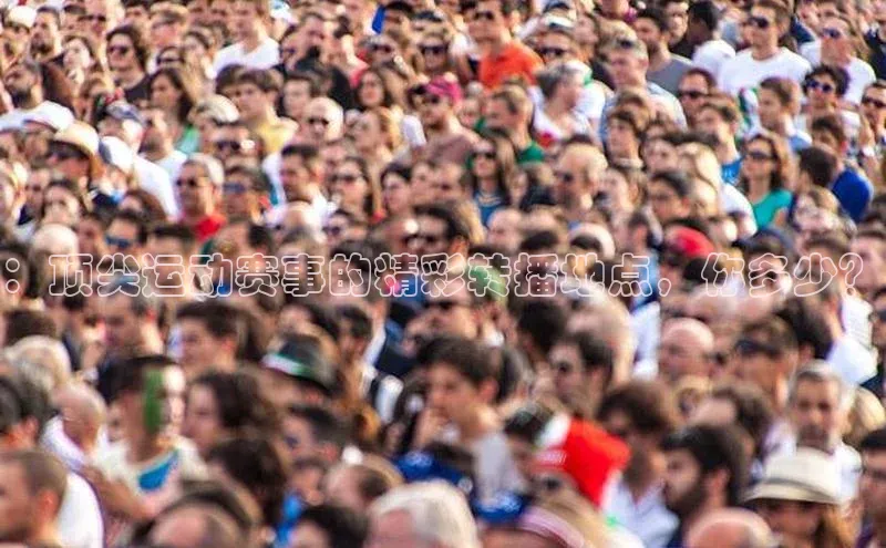 熊猫体育app官网路畅科技