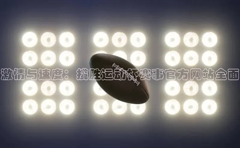 熊猫体育在线直播app百度人工翻译