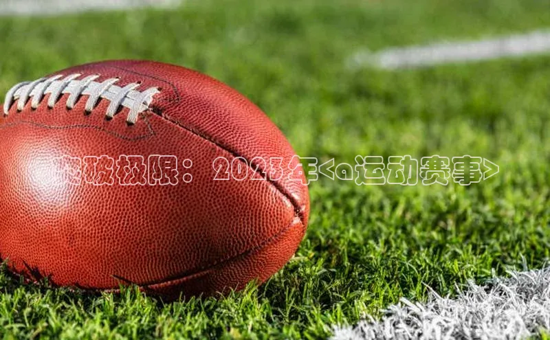 熊猫体育在线直播app百度人工翻译