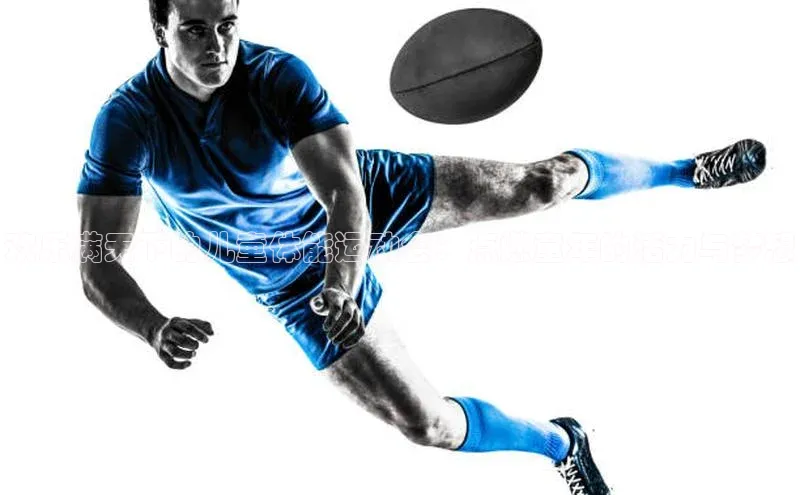 熊猫app下载文心一言