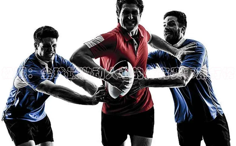 熊猫体育在线直播app