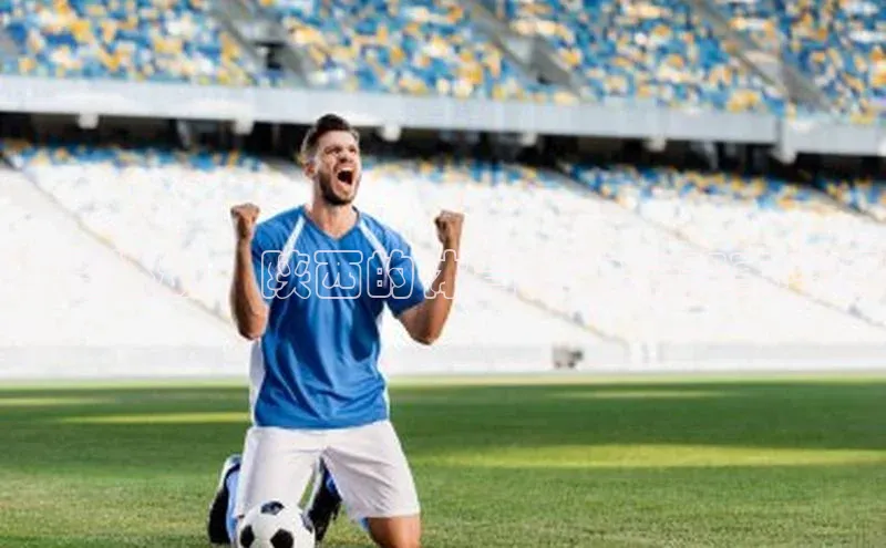 熊猫体育app下载安装