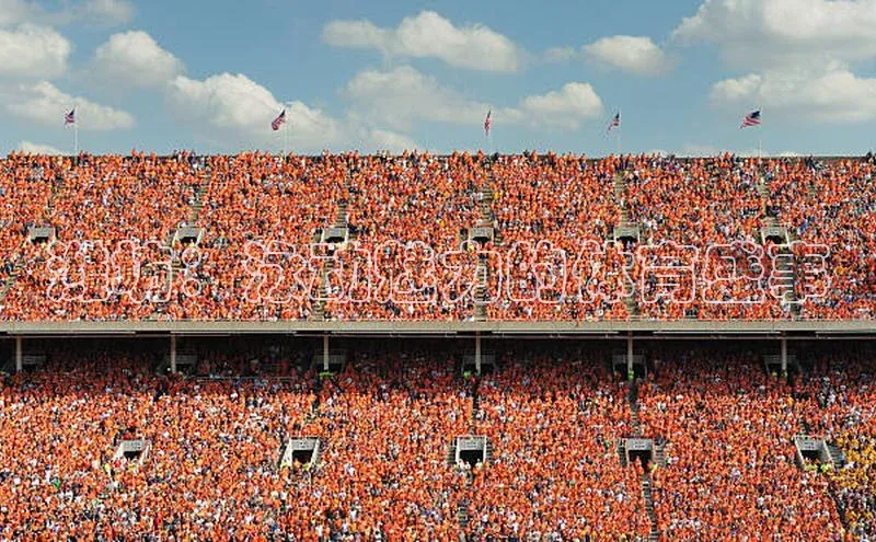 熊猫体育在线直播app