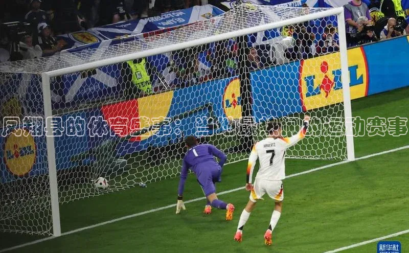 熊猫体育app下载安装