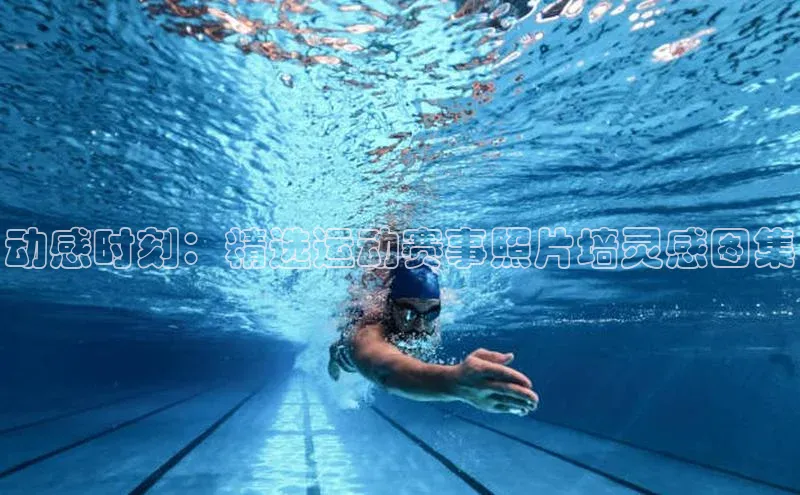 熊猫体育app官网