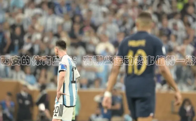 熊猫体育app官方入口