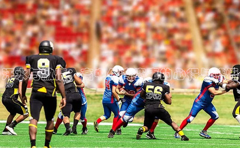 熊猫体育官网首页入口