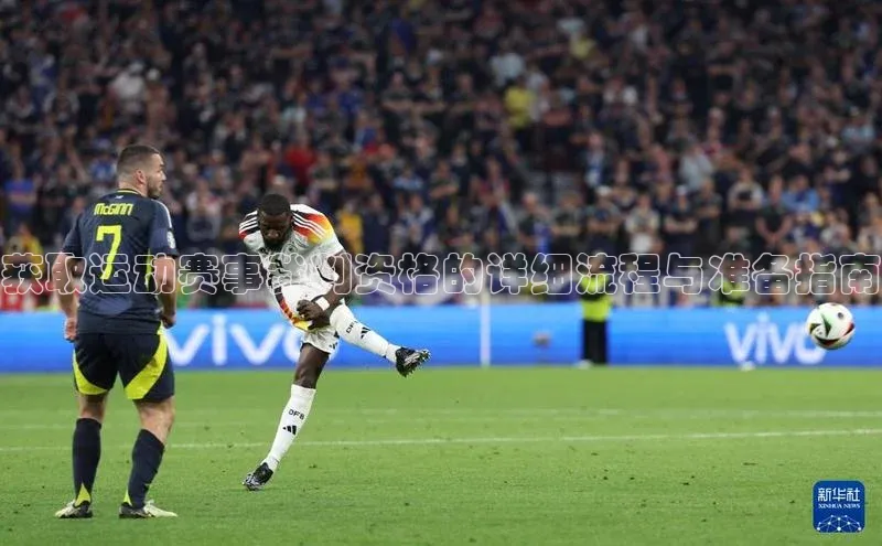 熊猫体育官网首页入口