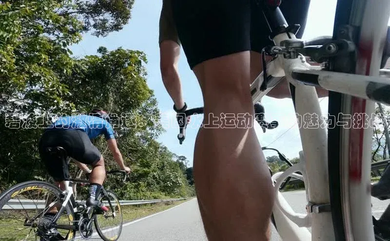 熊猫体育直播免费观看