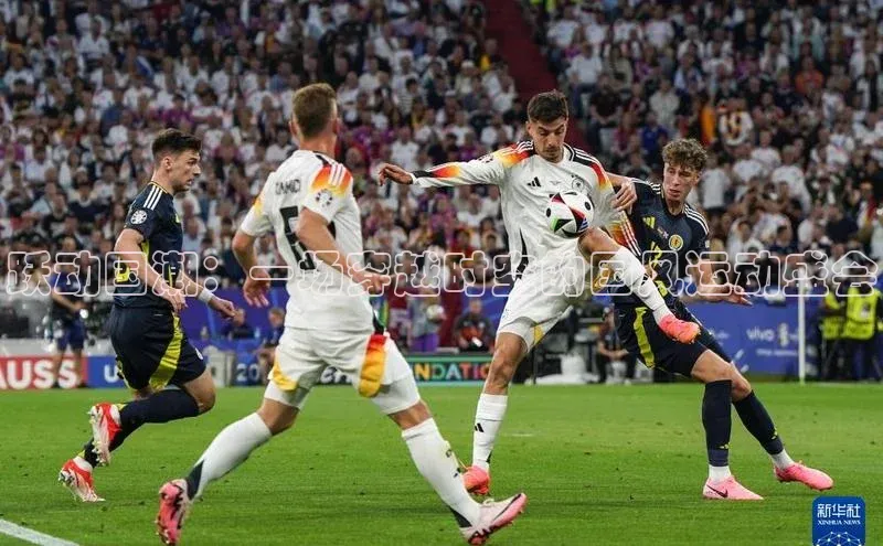 熊猫体育app官网