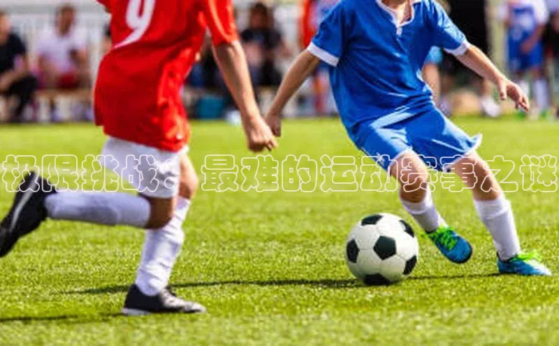 熊猫体育平台官网