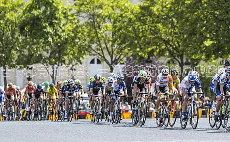 熊猫体育直播免费观看