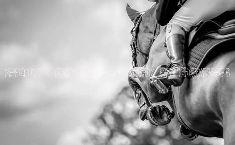 熊猫体育app下载安装