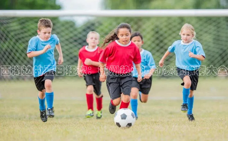 熊猫体育在线直播免费