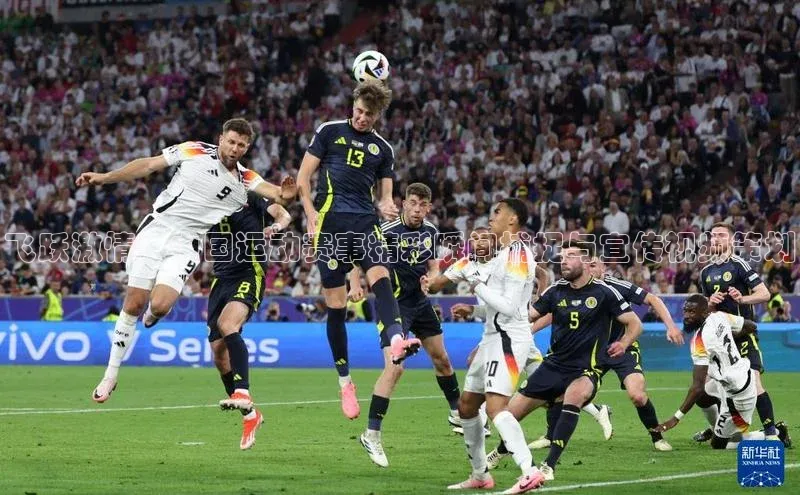 熊猫体育app官方入口