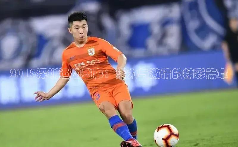 熊猫体育官网首页入口