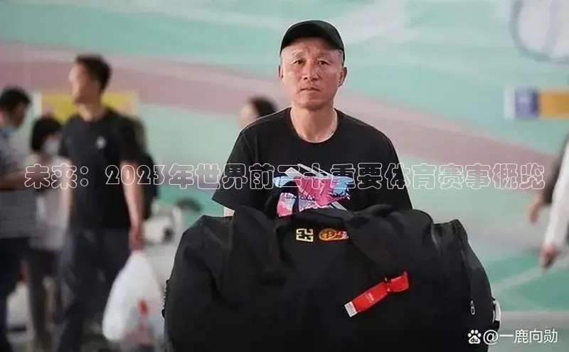 熊猫体育app下载安装
